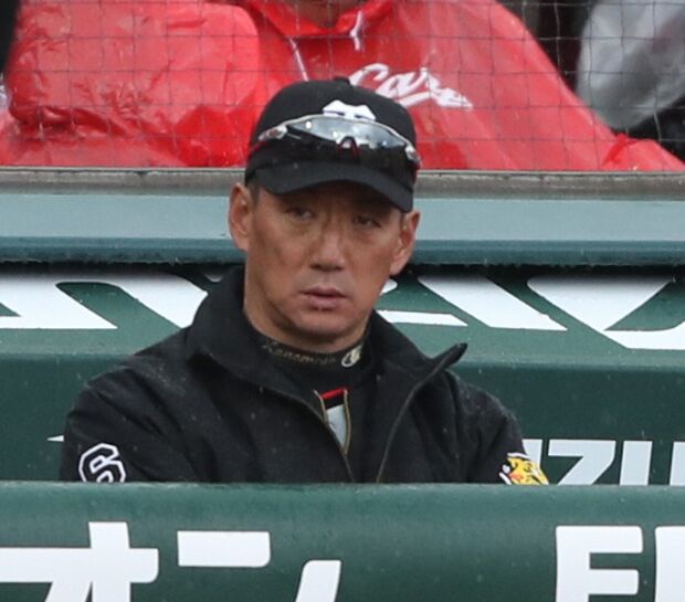 阪神・金本監督。逆転優勝への秘策は…(c)朝日新聞社
