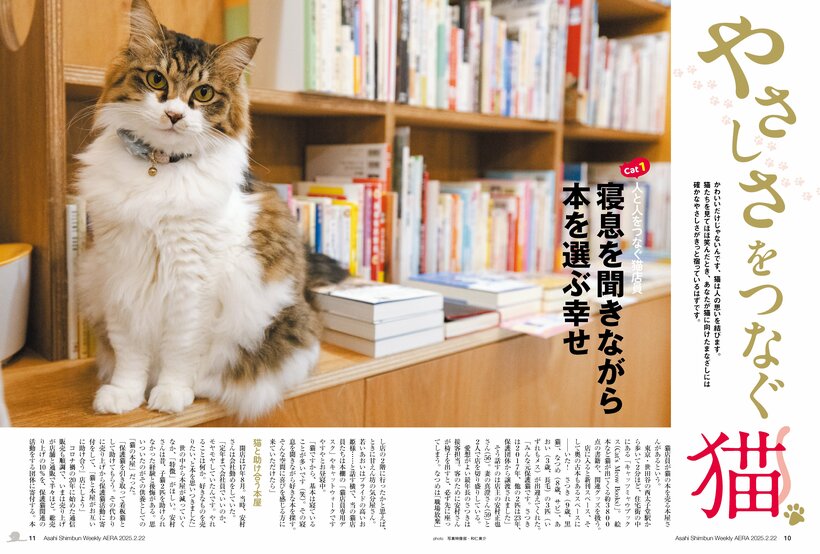 写真・図版（2枚目）| 全力で猫、愛しました！ 「NyAERA2025」は動画付き。人と共に歩む猫が大集合＆「猫へのラブレター」は必見！