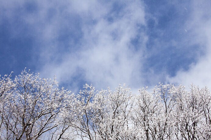 風花舞：青空が出て風が立ち雪が舞う