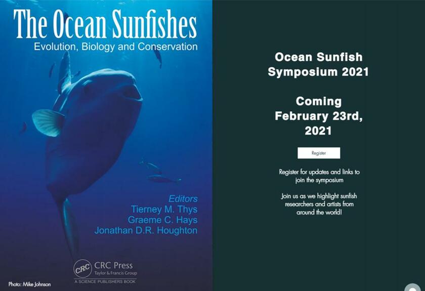 日本時間で2021年2月24日0～9時に行われる「Virtual Ocean Sunfish Symposium 2021」の特設ホームページ（https://www.oceansunfishsymposium.com/）。「Register」と書かれたボタンを押すと、シンポジウムを閲覧できる予約登録のページに飛ぶ（C）oceansunfishsymposium