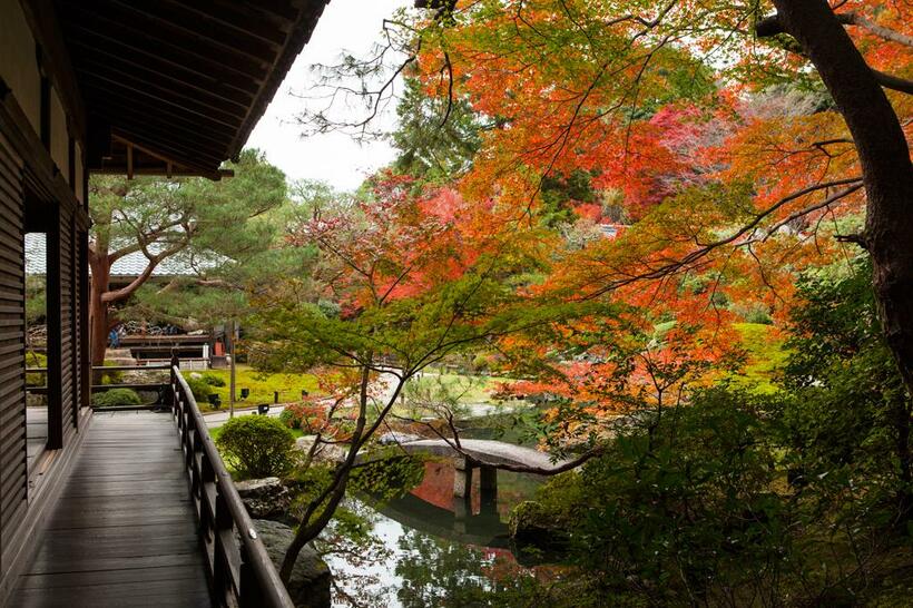 青蓮院　（撮影／星野佑佳）