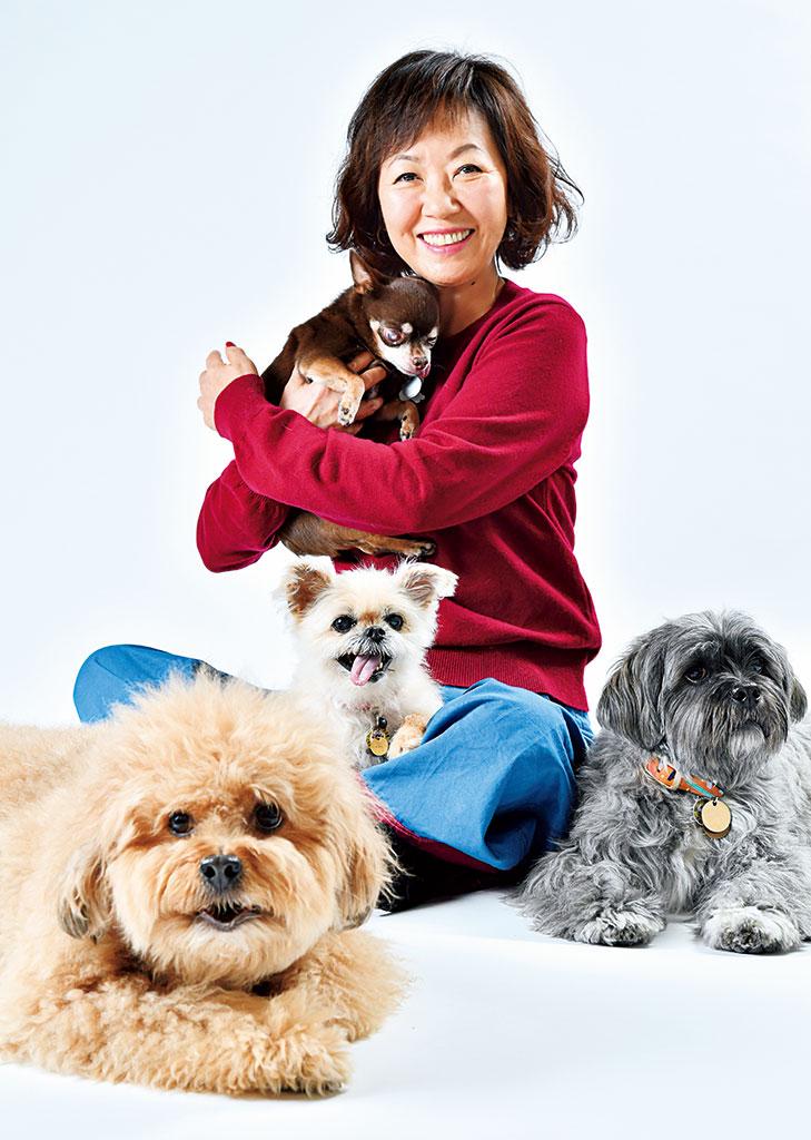犬に救われ、犬に恩返しがしたいから
<br />(上から時計回りに)カルちゃん(13歳オス)、与作ちゃん(6歳オス)、アヴィちゃん(15歳メス)、COOちゃん(8歳オス)
<br />浅田美代子(あさだ・みよこ)/東京都生まれ。1973年、ドラマ「時間ですよ」でデビュー。ドラマ「寺内貫太郎一家」、映画「釣りバカ日誌」シリーズなどで幅広く活躍。2020年初夏に映画「朝が来る」(河瀬直美監督)が公開予定。(撮影/写真部・東川哲也)