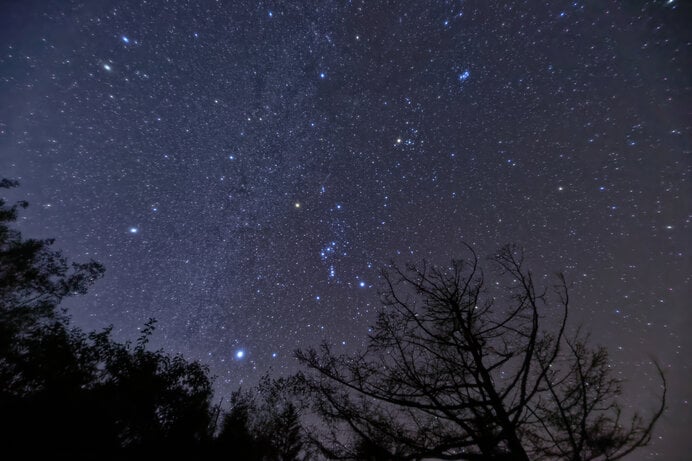 南アルプス・夜叉神峠から見る冬の大三角とふたご座