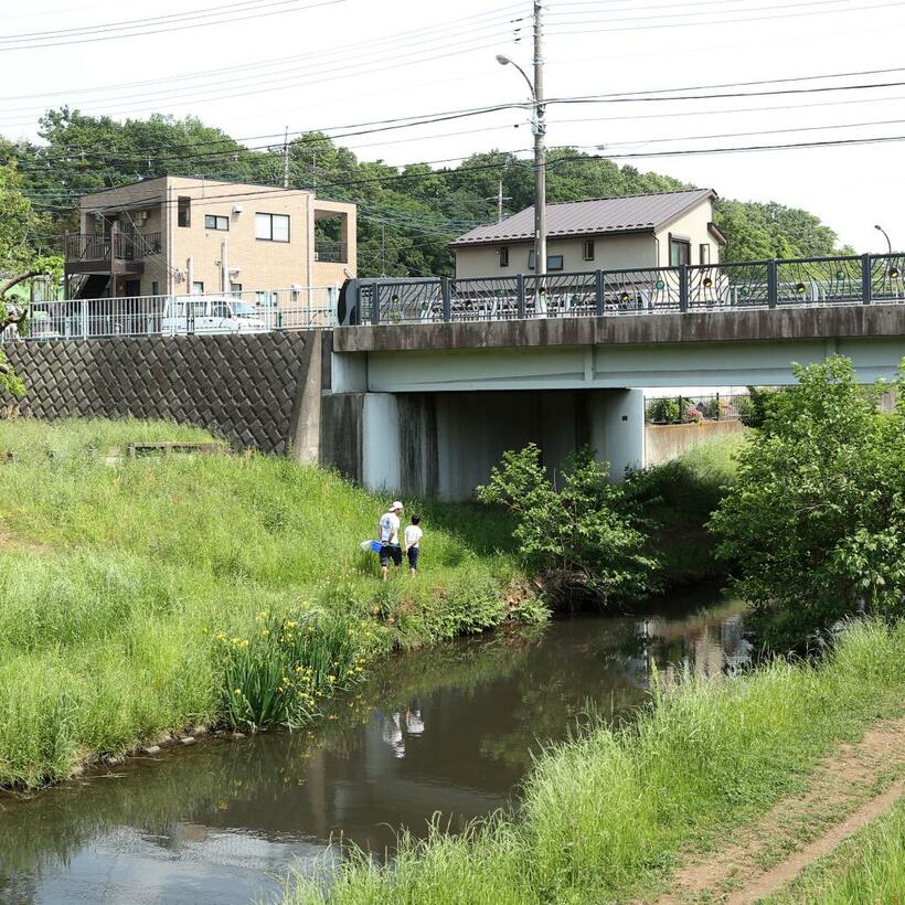 写真・加藤夏子