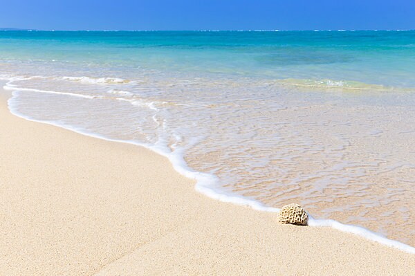 沖縄といえばやっぱり海ですね！