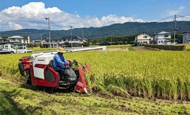 米が高すぎる「元の価格に戻ることはないのでは」 続く米不足 石破首相に専門家は「減反」見直しを期待