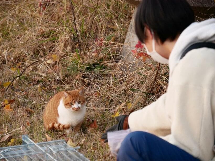 「山大にゃんこ大作戦」の一コマ　（大学提供）