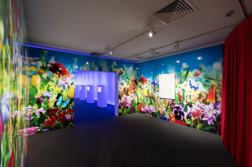 展覧会の入り口ロビーは「ｅａｒｔｈｌｙ　ｆｌｏｗｅｒｓ，　ｈｅａｖｅｎｌｙ　ｃｏｌｏｒｓ」（２０１７）が壁一面に拡大されている（ｃ）ｍｉｋａ　ｎｉｎａｇａｗａ，　Ｃｏｕｒｔｅｓｙ　ｏｆ　Ｔｏｍｉｏ　Ｋｏｙａｍａ　Ｇａｌｌｅｒｙ