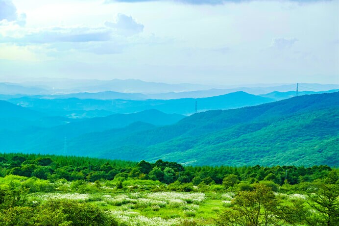 イーハトーブの高原（岩手県）