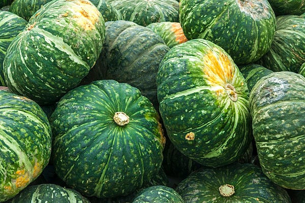 かぼちゃの国内生産は北海道がNO1。ホクホクと甘い栗カボチャ