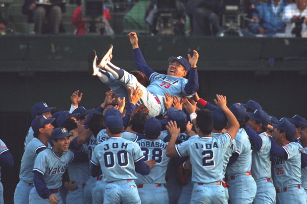 1993年のプロ野球日本シリーズで西武を破り、日本一を掴んだヤクルト・野村克也監督　（ｃ）朝日新聞社 