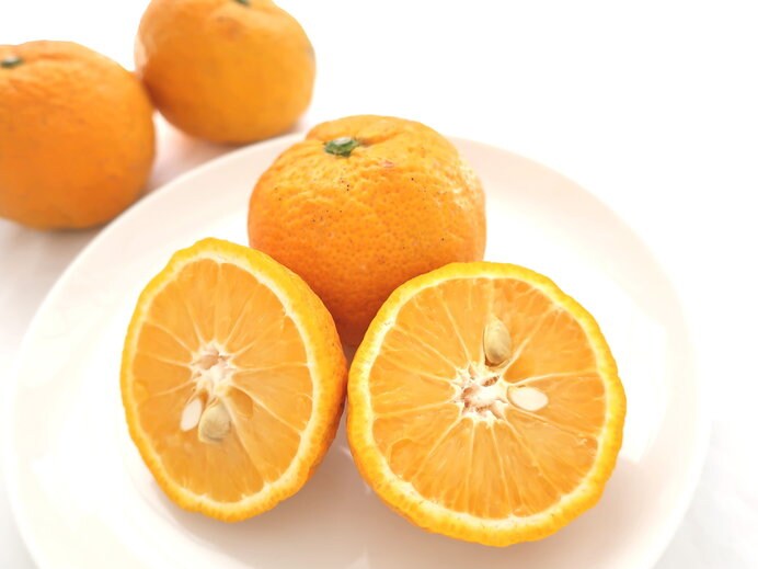 北山村にしかない「じゃばら」という柑橘類