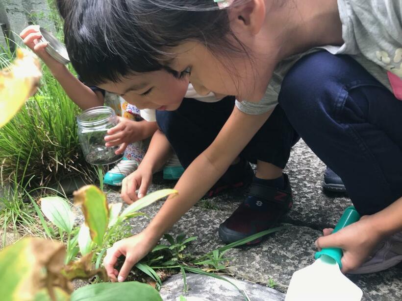 ダンゴムシを探す子どもたち