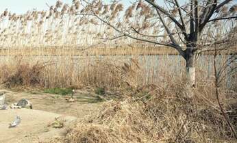 中国出身の写真家・宛超凡が「荒川」を撮り続ける理由 「生活感がめっちゃある」