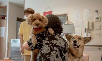 老人ホーム入居のため愛犬を保健所へ… 「失意の最期減らしたい」ペット可・施設長の思いとは