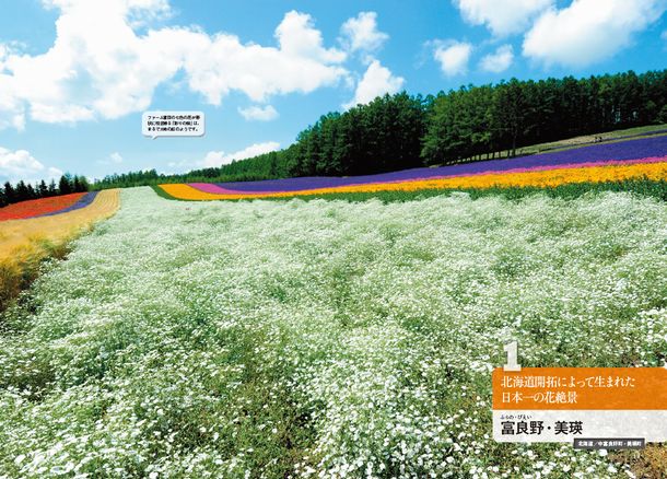 富良野・美瑛（北海道）
<br />開拓によって生まれた、日本一の花絶景。なかでも日本最初のラベンダー畑、ファーム富田は見頃の7月中旬～8月中旬までは全国から、多くの観光客が詰めかける
<br />