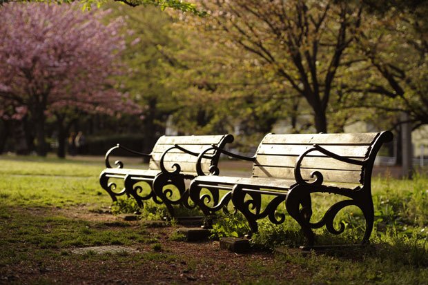 「空っぽ」なら公園のベンチで昼寝でしょ、と思ったら、休まるのは体だけだそうです（撮影／写真部・堀内慶太郎）