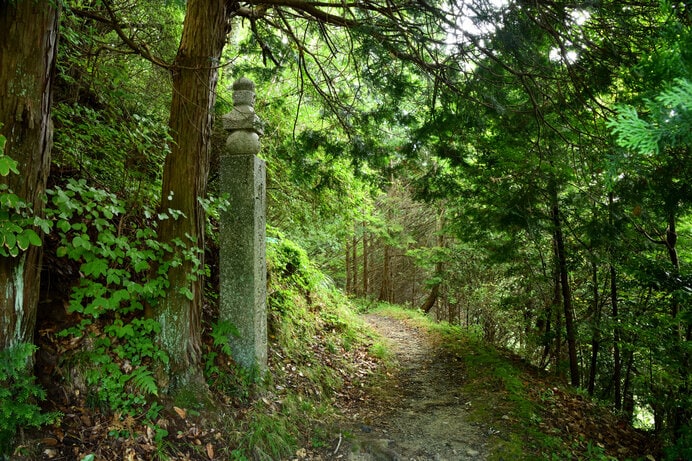 麓から高野山まで登る世界遺産の道