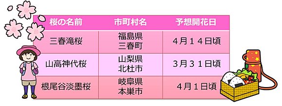 日本三大桜特集は表をクリック