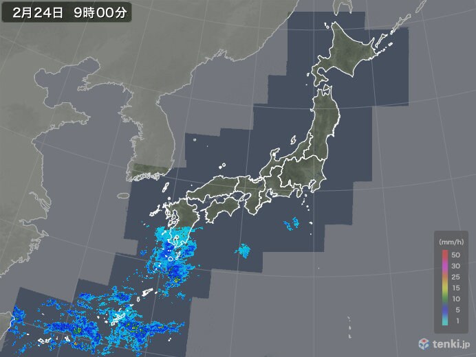 日本の気象レーダーによる雨の観測（2019年2月24日9時観測）※グレーの領域はおおよその観測範囲外