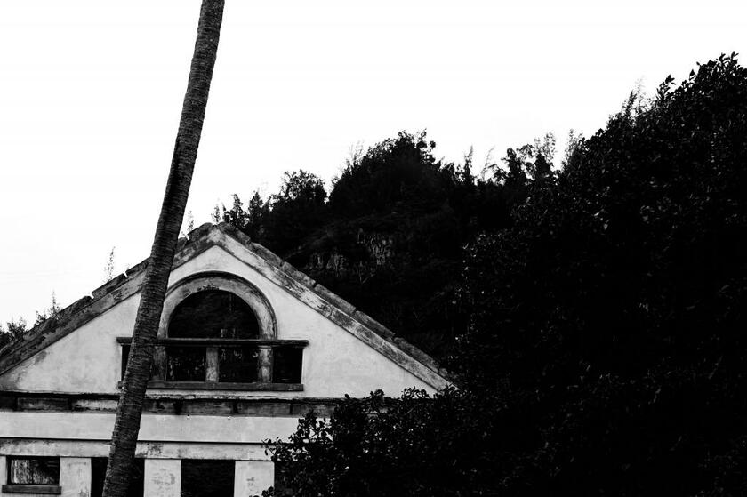「ノースショアからの帰り道に学校だったであろう廃墟を見つけた。敷地内には入れなかった。風が強く、雨が降り出してきた。高い椰子の木が1本。遠くからだが、いい画が撮れた」（佐藤さん、以下同）