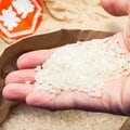 小泉進次郎の「2000円の備蓄米」にうごめく"農政利権"の次の標的 JAと農水省の逆襲がはじまった…