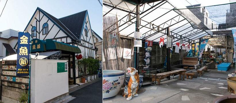 金魚坂／東京都文京区本郷５－３－１５（営）平日ランチ１１：３０～１４：３０Ｌ．Ｏ．　ディナー１７：００～２１：００Ｌ．Ｏ．　喫茶１１：３０～２１：００Ｌ．Ｏ．　土日祝　食事・喫茶１１：３０～１９：３０Ｌ．Ｏ．（休）月、第３火（祝日の場合は翌日休み）　（撮影／写真部・小山幸佑）