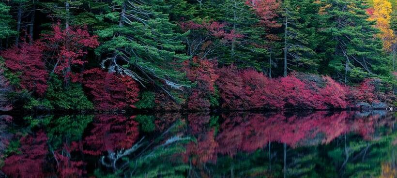 長野県は紅葉と水鏡の宝庫だ（写真／五島健司）