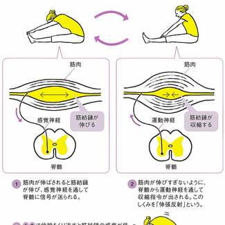 疲労、肩こり、腰痛軽減ストレッチ 運動の前後だけでなく日常生活でのメリットは?