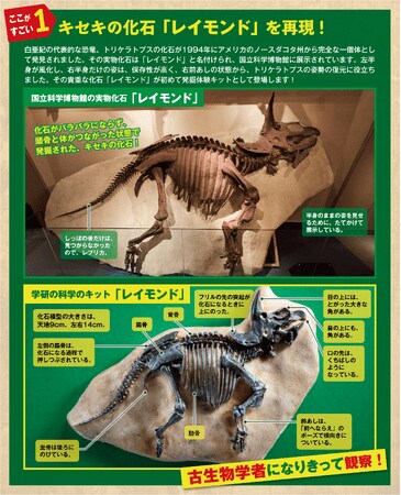 古代玉作の研究 さきたま古墳群: 国宝・金錯銘鉄剣と古代東国 | 埼玉新聞社 |本