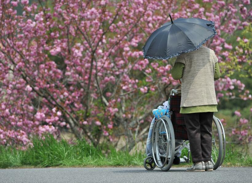 高齢者の支援制度が必要な人に行き届くことは、ますます重要になっている（※写真は本文と直接関係ありません）　（ｃ）朝日新聞社