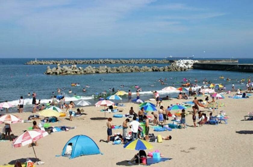 昨年8月には11年間通い続けた福島で初めて海水浴場に行ったという