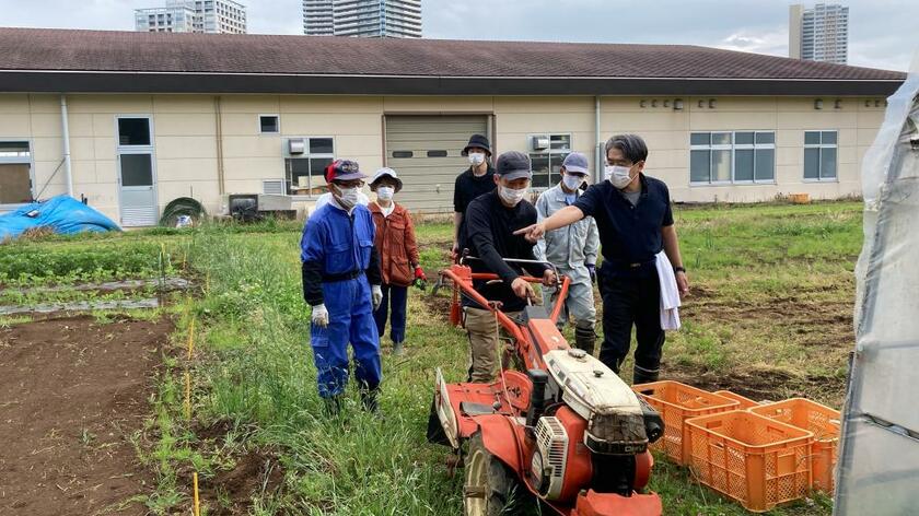 応用コースの実習。柏の葉キャンパスの圃場で、豆類の播種、サトイモの植え付け、ジャガイモ圃場の除草、ニホンナシの摘果、巨峰の管理を行った