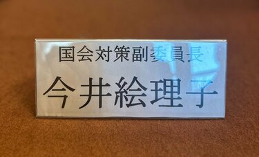 岸田首相の解せない“適材適所”　今井絵理子議員の要職就任に「なぜ？」と総ツッコミ　