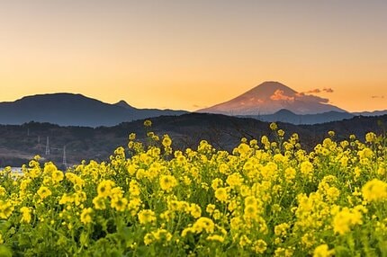 おぼろ月夜」ってどんな月？ 七十二候＜霞始靆（かすみはじめてたなびく）＞ | AERA dot. (アエラドット)