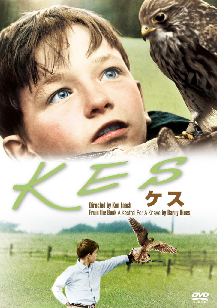 「ケス」/発売・販売元:20世紀フォックス、ホーム エンターテイメント ジャパン、価格1419円+税/DVD発売中 (c)2017 Metro-Goldwyn-Mayer Studios Inc. All Rights Reserved. Distributed by Twentieth Century Fox Home Entertainment LLC.