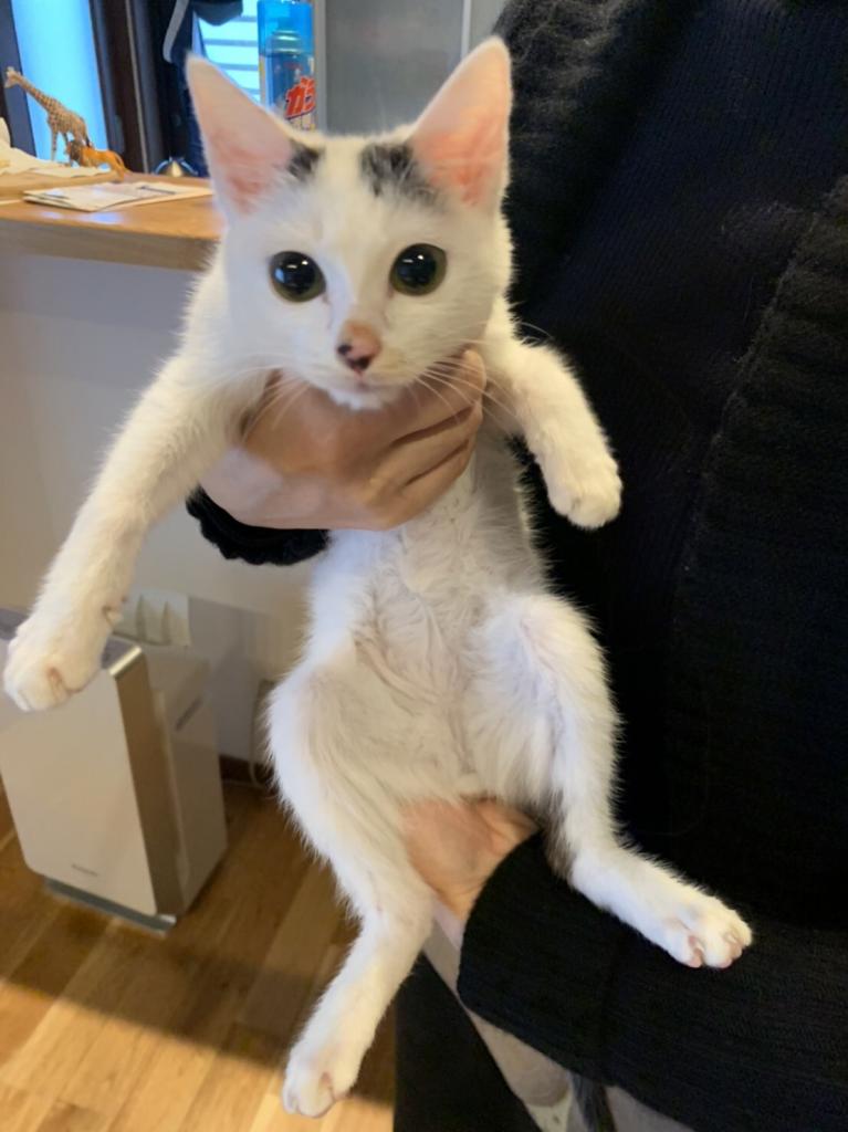 これでも大きくなりました(提供)