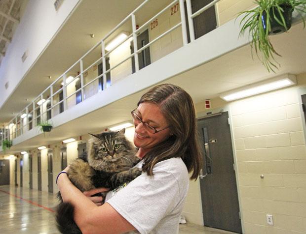 ワシントン州の女性刑務所では、介助犬の訓練だけでなく、保護猫の世話もしている。高齢や病気などでどうしても譲渡先が見つからない猫は、受刑者たちが愛情を注ぎ、最期まで面倒を見る（撮影／ジャーナリスト・大塚敦子）