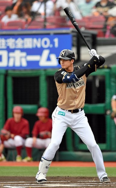 日本ハム時代は５年間で４８本塁打（ｃ）朝日新聞社