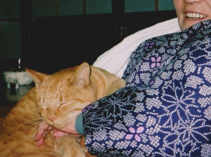 飯森さんのお母さんにくっついて寝るチャッペ―。猫たちはお母さんに笑顔をもたらした