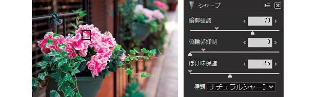 背景をボカして鉢植えの花を強調するよう撮影した。一般にこのままシャープネス処理をすると、ボケの部分はザラついて見苦しくなる。「ナチュラルシャープ」なら、ボケをどのくらい保護するか指定でき維持できる