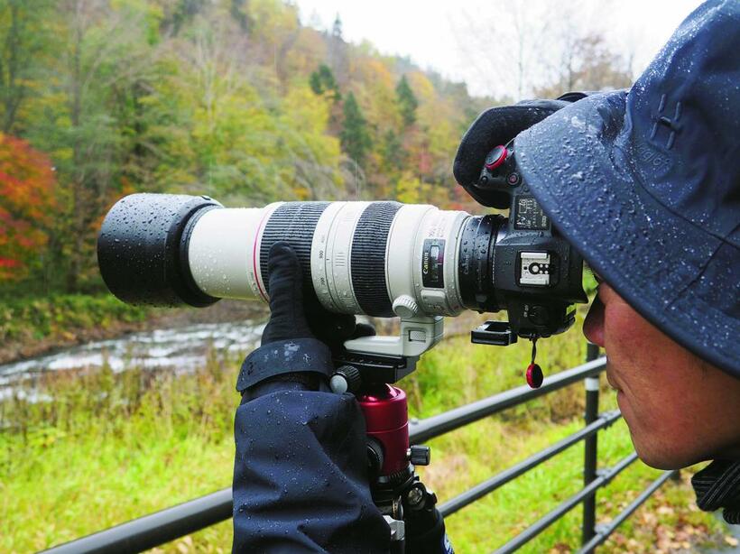 小雨の降るなかキヤノンの超望遠ズームレンズEF100-400mm F4.5-5.6L IS II USMで撮影する中西敏貴さん