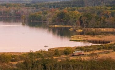 「秋に訪れたい鉄道」京都“もみじのトンネル”も　フォトライター・矢野直美さんが厳選