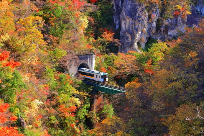 紅葉の鳴子峡を渡る電車（宮城県）