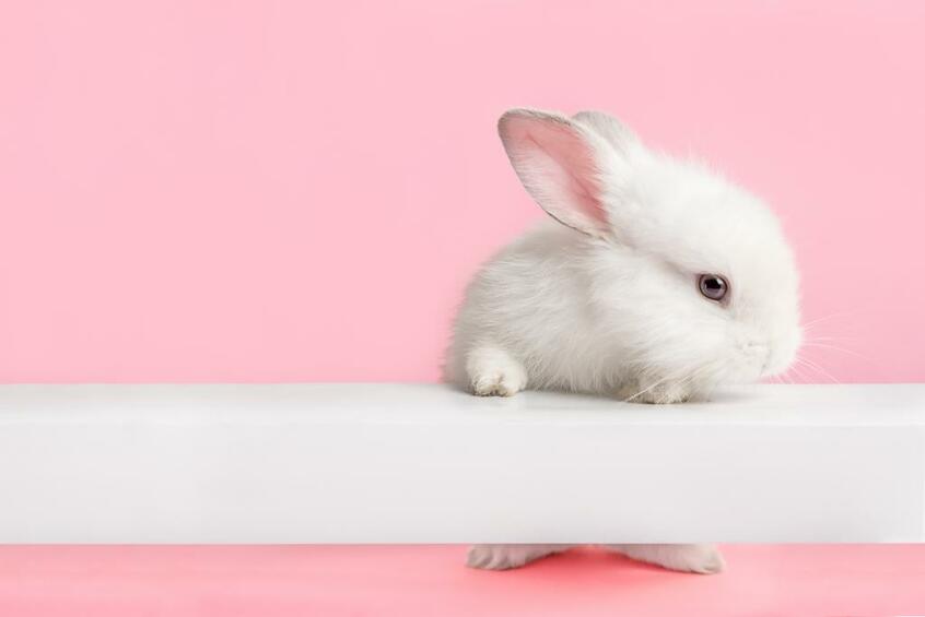 ※写真はイメージ(gettyimages)