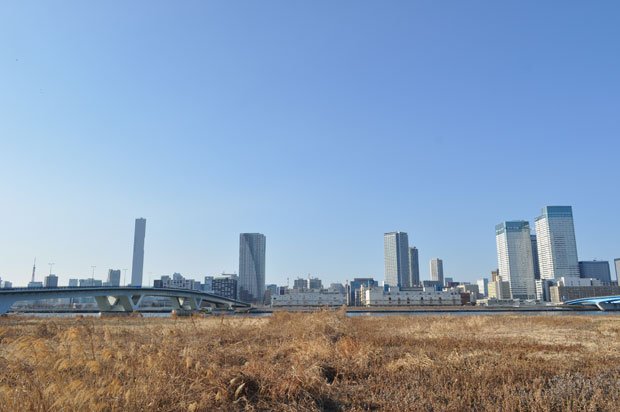 東京五輪に向けて、湾岸エリアでは高層マンションなど大規模開発が進む。東京都内の新築マンションの分譲数は前年比３割以上増えている（撮影／大根田康介）
