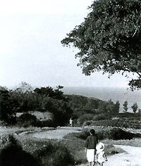 学生時代に与論鳥で撮ったお気に入りの一枚。海へ続く道と空、人物が抜群の構図でとらえられている