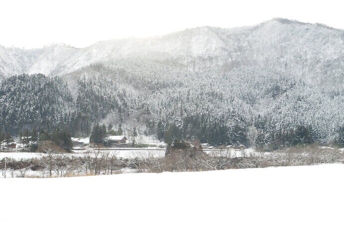 新潟県胎内市の雪景色
