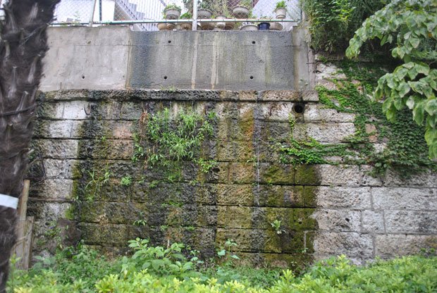 児童公園と住宅地の境にある民有地の壁。庭の木々に住民が水をやると、壁づたいに水が公園に落ちた(撮影/編集部・塩月由香)
<br />