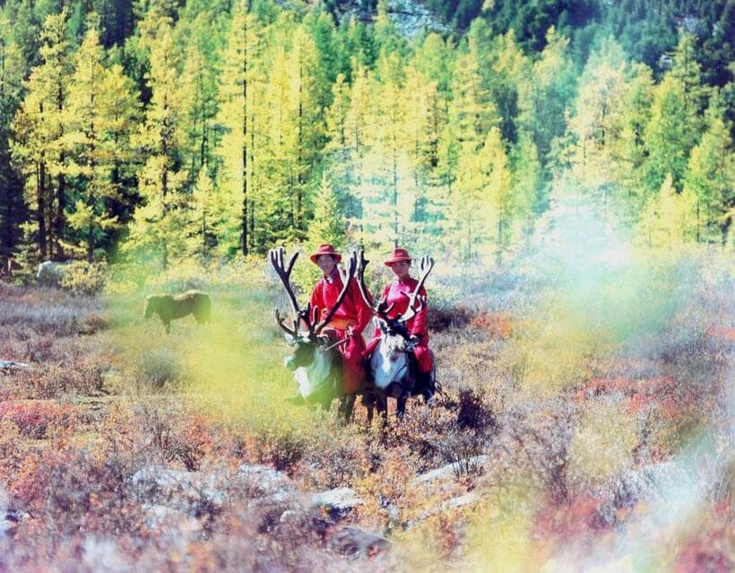 トナカイとともに暮すツァータン族の新婚夫婦。ロシア国境に近いモンゴル最北の山中、馬でしかたどり着けない場所。身近な自然を利用しながら家畜を育て、食べ、生きている